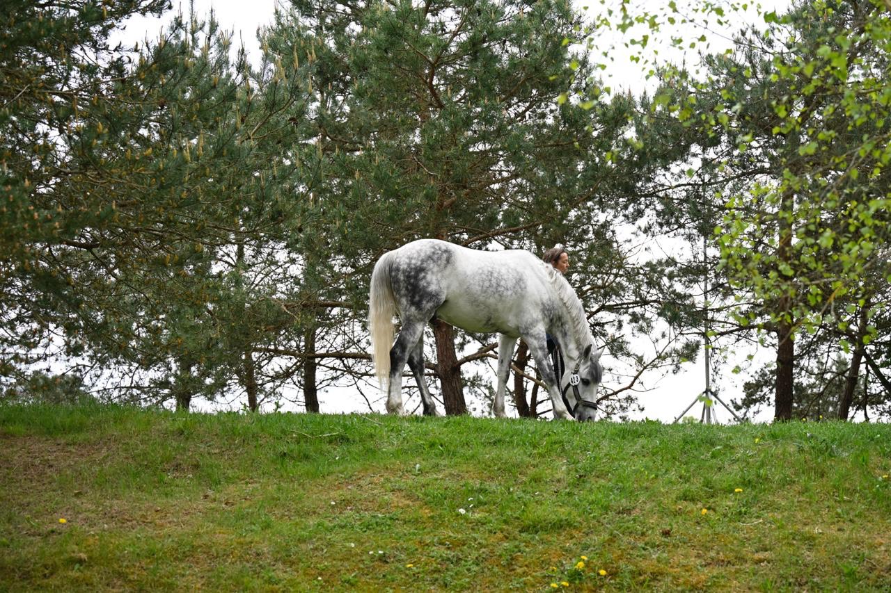 image GL events Equestrian Sport, l’éco-conception au cœur des événements